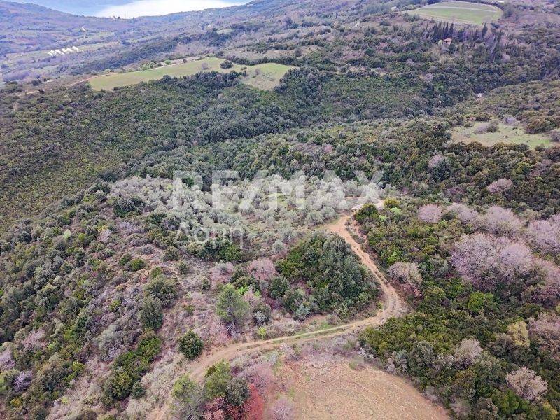 Αεροφωτογραφία