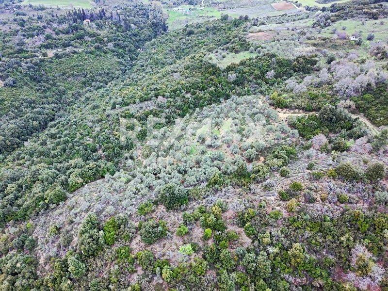 Αεροφωτογραφία