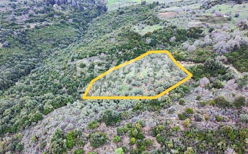 Αεροφωτογραφία