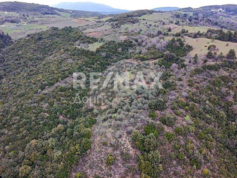 Αεροφωτογραφία