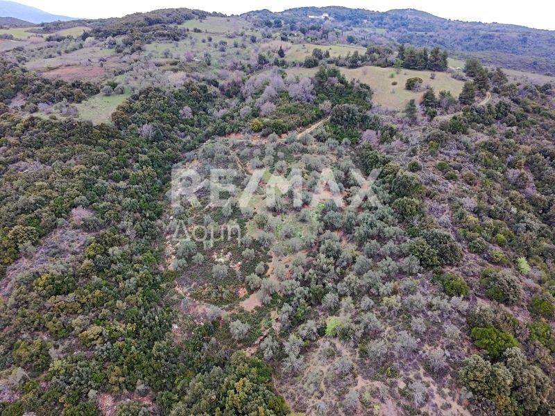 Αεροφωτογραφία