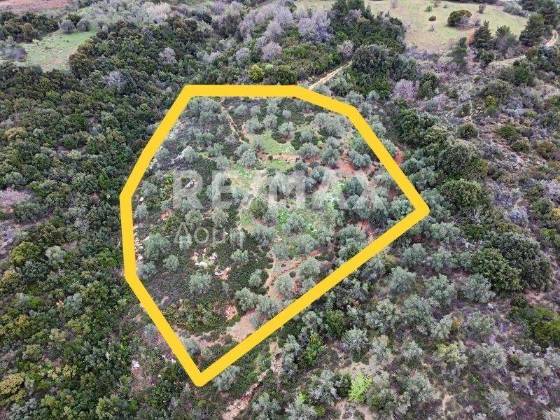 Αεροφωτογραφία