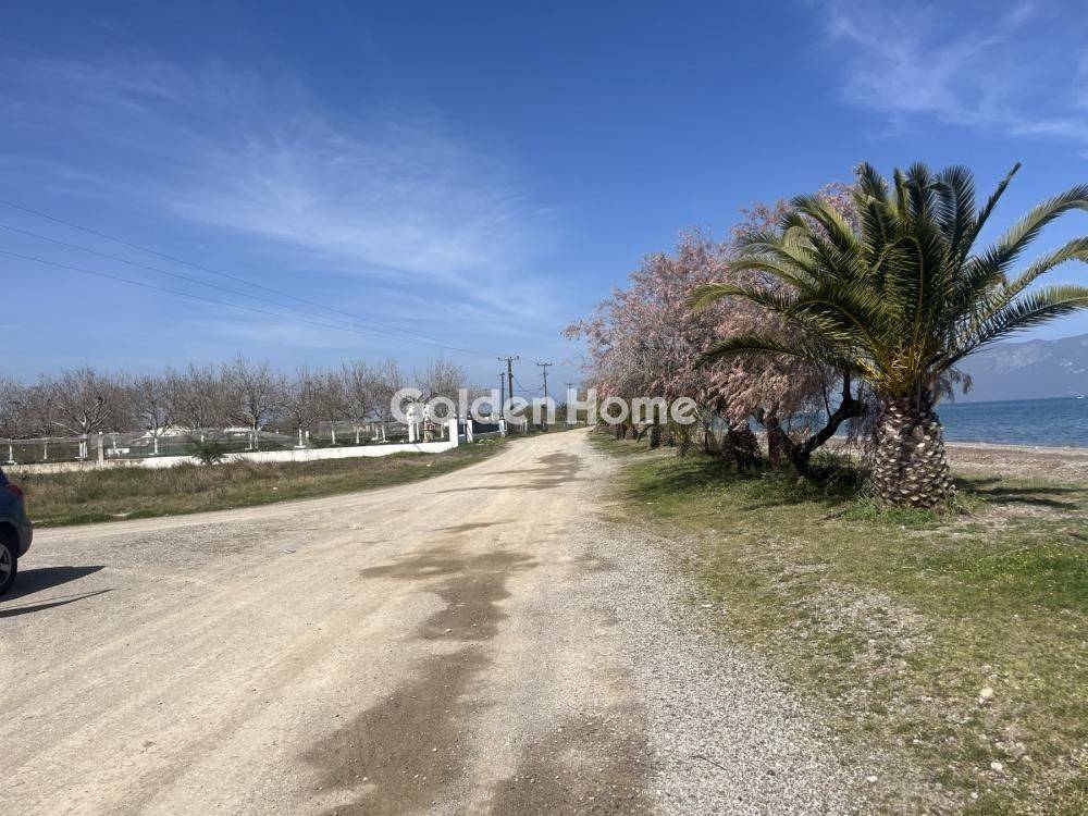 Εξωτερικός Χώρος