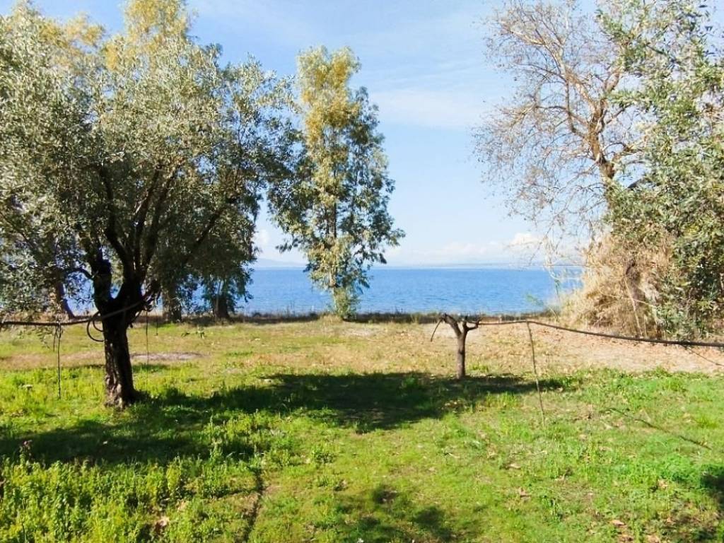 Το τέλος του οικοπέδου στην λίμνη