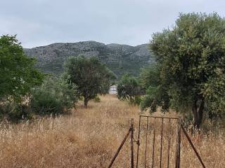 ΝΟΤΙΑ ΕΙΣΟΔΟΣ &amp; ΚΗΠΟΣ