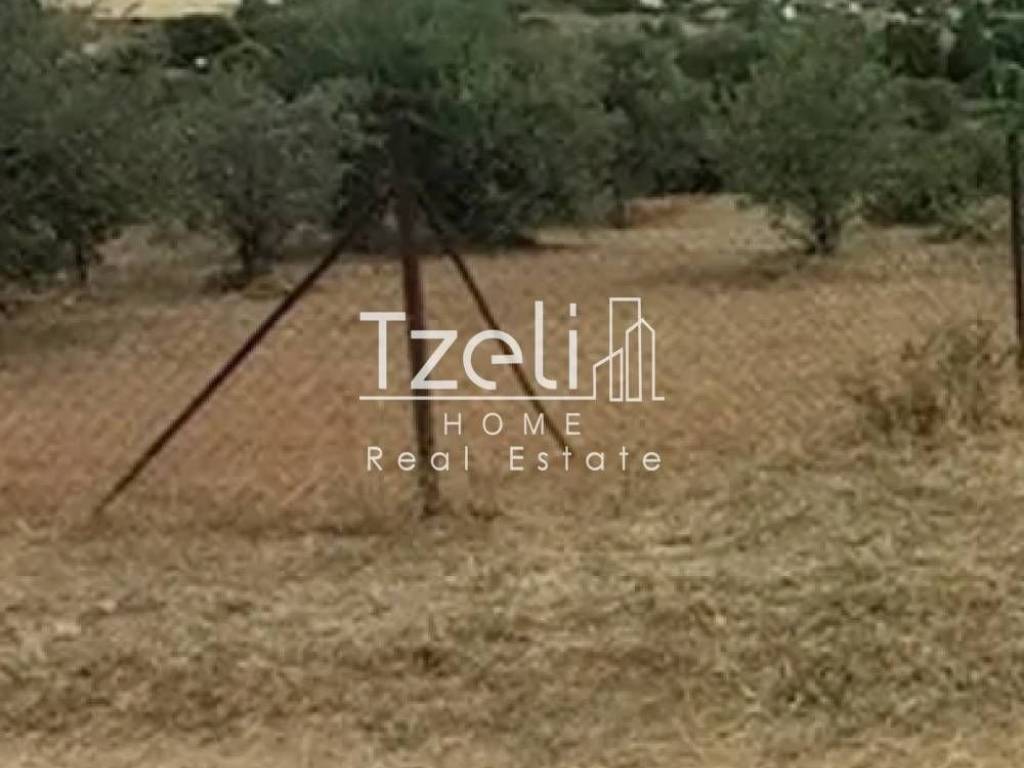 Άποψη οικοπέδου