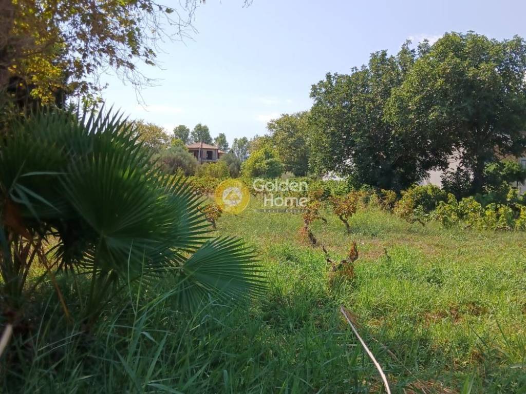 Εξωτερικός Χώρος