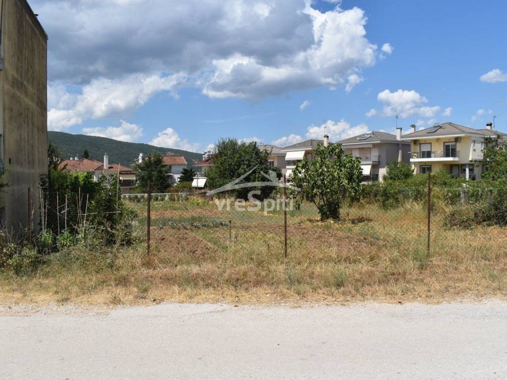 ΑΠΟΨΗ ΟΙΚΟΠΕΔΟΥ