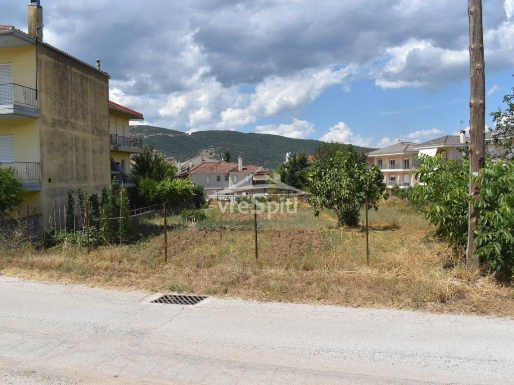 ΑΠΟΨΗ ΟΙΚΟΠΕΔΟΥ