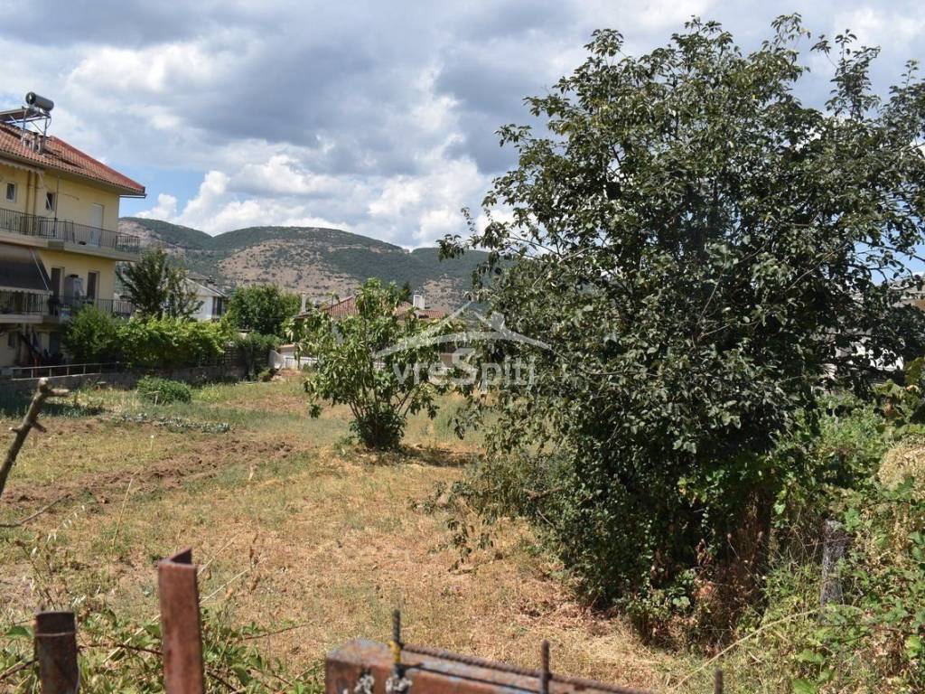 ΑΠΟΨΗ ΟΙΚΟΠΕΔΟΥ