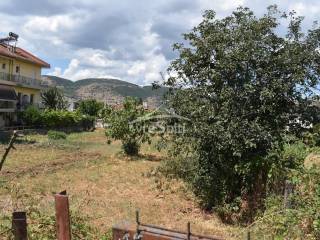 ΑΠΟΨΗ ΟΙΚΟΠΕΔΟΥ