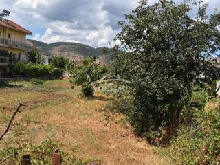 ΑΠΟΨΗ ΟΙΚΟΠΕΔΟΥ