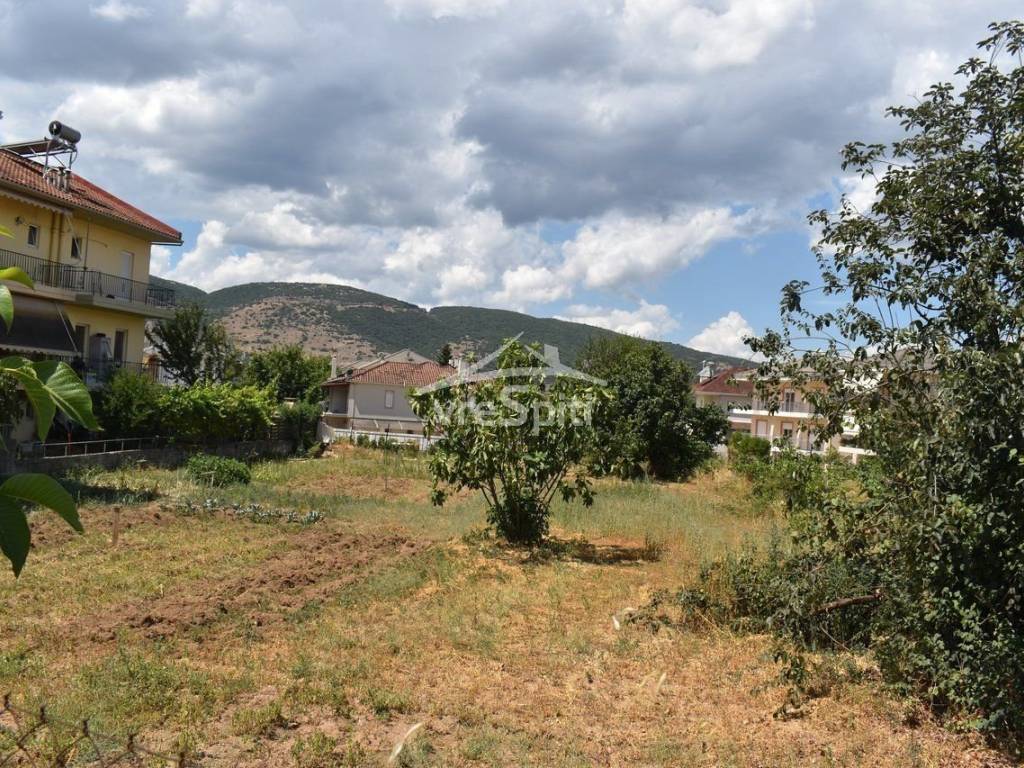 ΑΠΟΨΗ ΟΙΚΟΠΕΔΟΥ