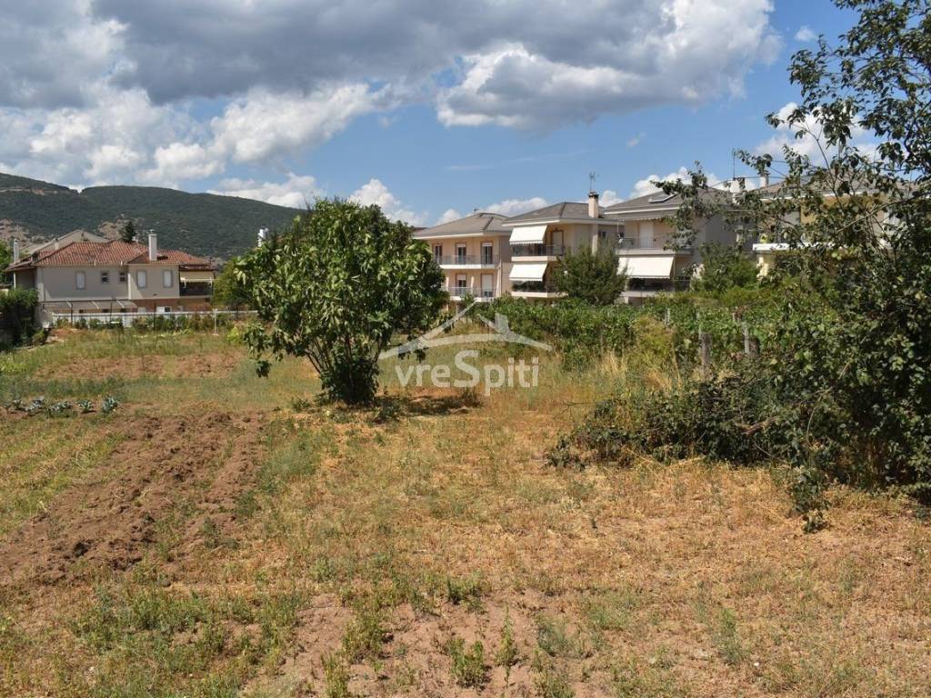 ΑΠΟΨΗ ΟΙΚΟΠΕΔΟΥ