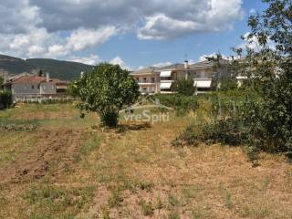 ΑΠΟΨΗ ΟΙΚΟΠΕΔΟΥ