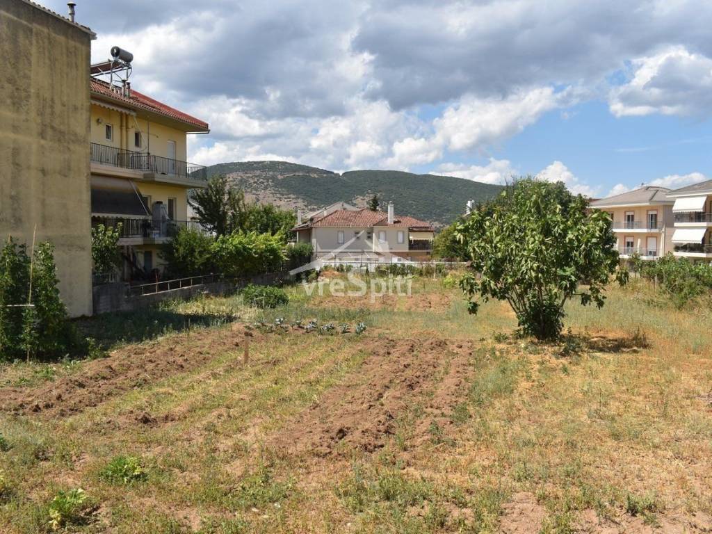 ΑΠΟΨΗ ΟΙΚΟΠΕΔΟΥ