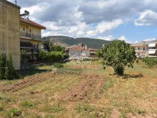 ΑΠΟΨΗ ΟΙΚΟΠΕΔΟΥ