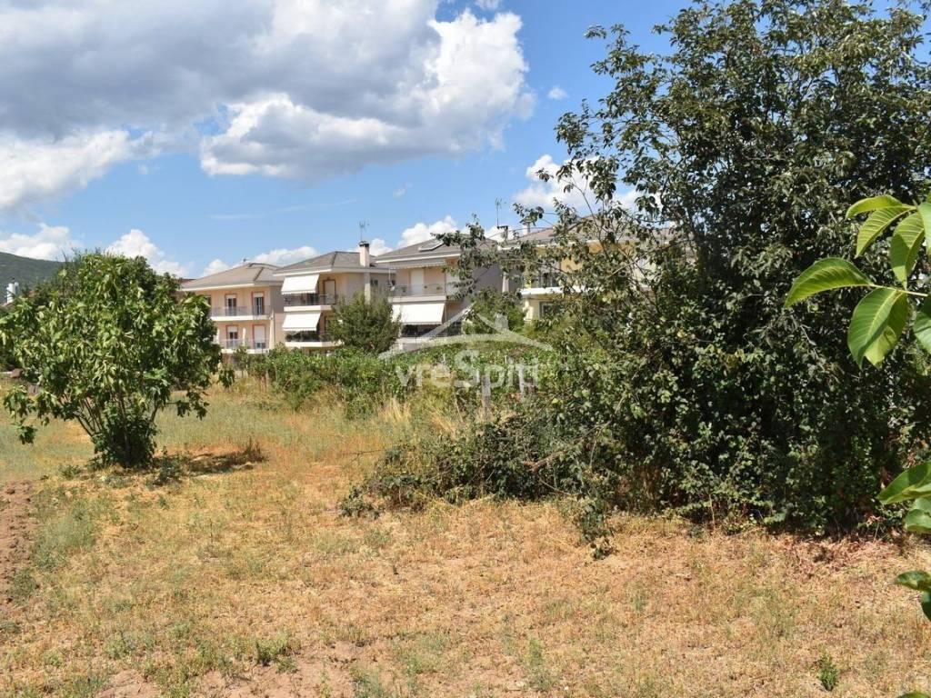 ΑΠΟΨΗ ΟΙΚΟΠΕΔΟΥ