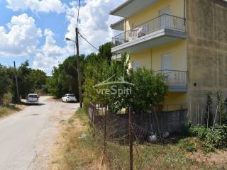 ΑΠΟΨΗ ΟΙΚΟΠΕΔΟΥ