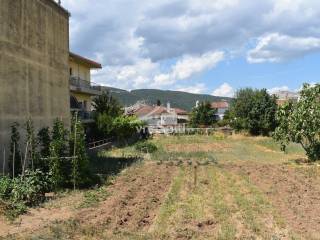 ΑΠΟΨΗ ΟΙΚΟΠΕΔΟΥ