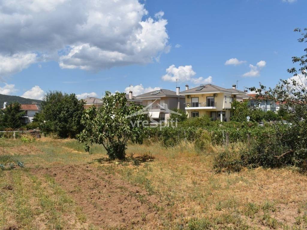 ΑΠΟΨΗ ΟΙΚΟΠΕΔΟΥ