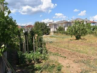 ΑΠΟΨΗ ΟΙΚΟΠΕΔΟΥ