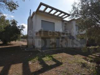 Κήπος και εξωτερική όψη