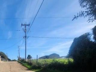 ΚΕΝΤΡΙΚΟΣ ΔΡΟΜΟΣ 
ΓΩΝΙΑΚΟ