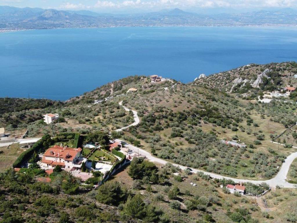 Αγροτεμάχιο