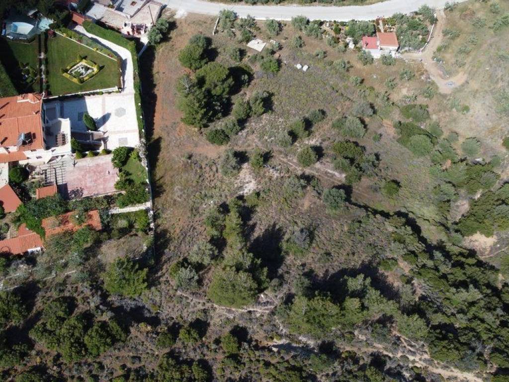 Αγροτεμάχιο