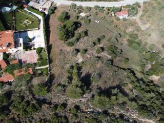 Αγροτεμάχιο