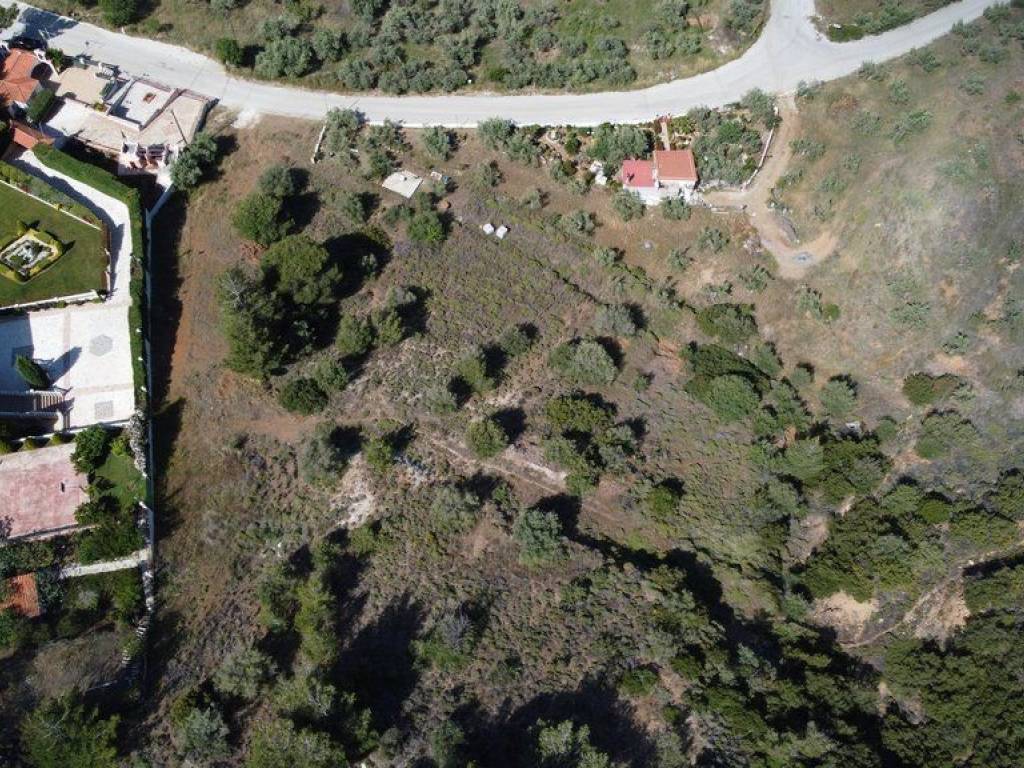 Αγροτεμάχιο