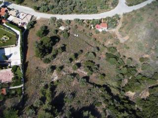 Αγροτεμάχιο