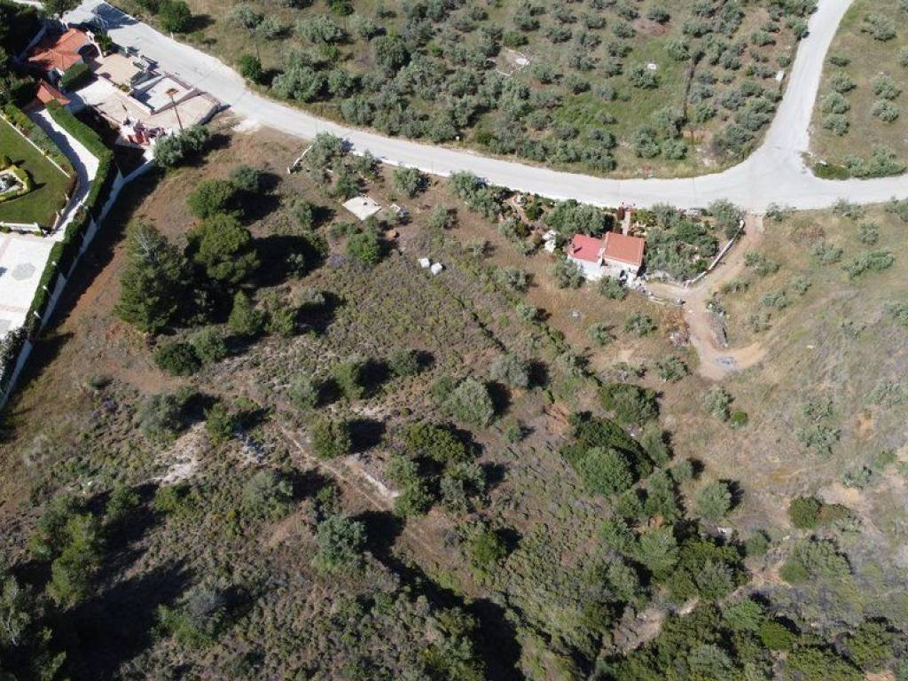 Αγροτεμάχιο