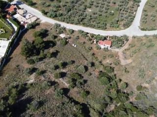 Αγροτεμάχιο