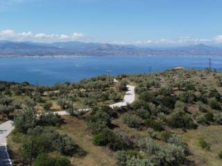 Αγροτεμάχιο