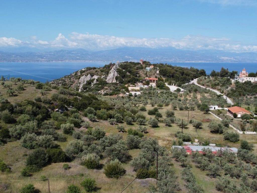 Αγροτεμάχιο