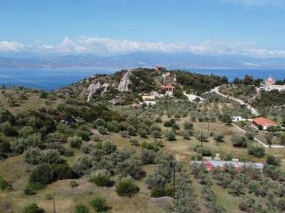 Αγροτεμάχιο