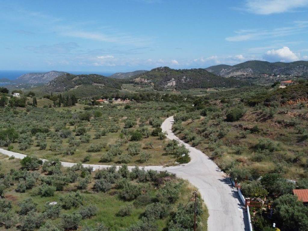 Αγροτεμάχιο