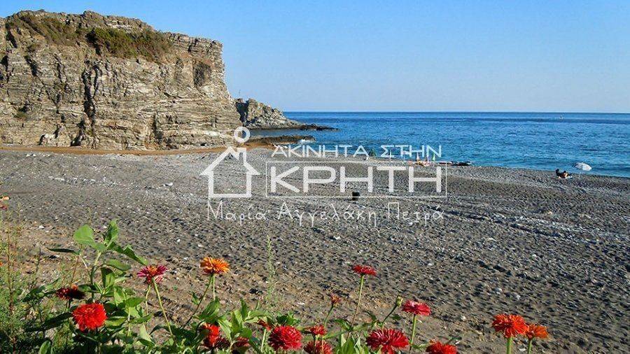 Παραλία Ψαρής Φοράδας