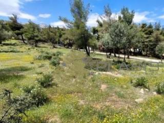 Ενδεικτική φωτογραφία δεν απεικονίζει την πραγματικότητα