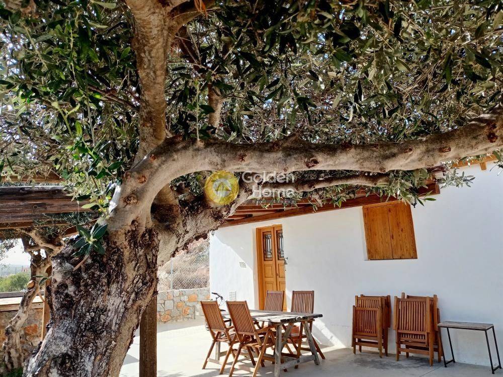 Εξωτερικός Χώρος