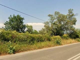 Plot - Grekodom 63969|1007184