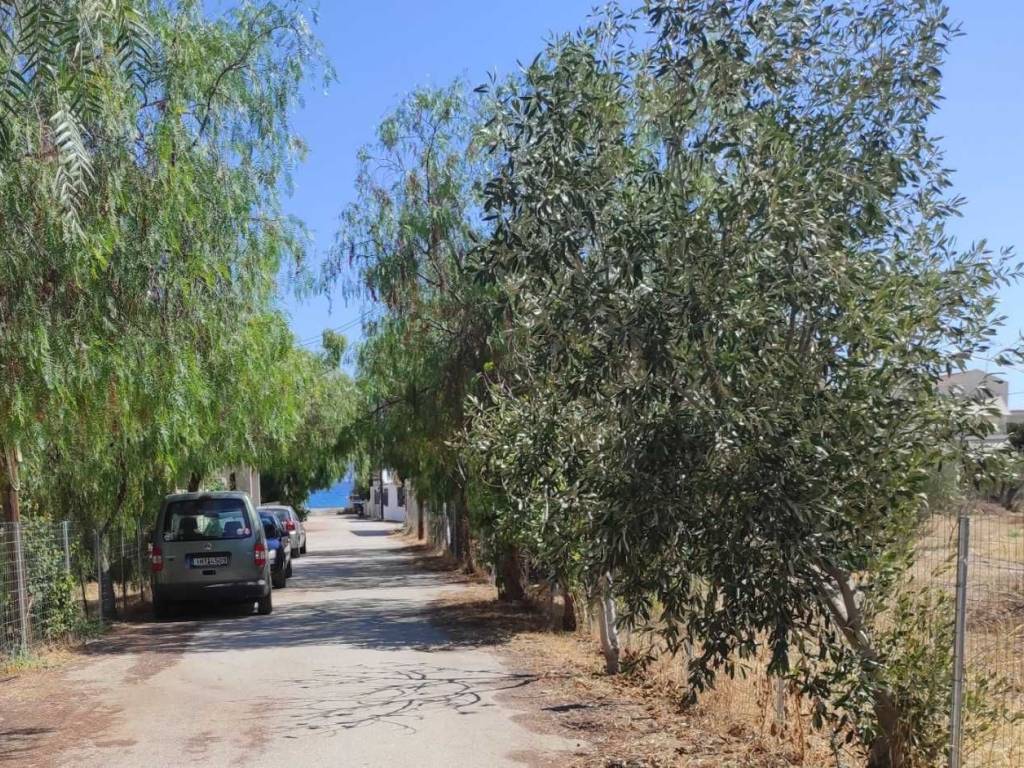 Η ΘΑΛΑΣΣΑ ΕΙΝΑΙ ΣΤΑ 100 ΜΕΤΡΑ