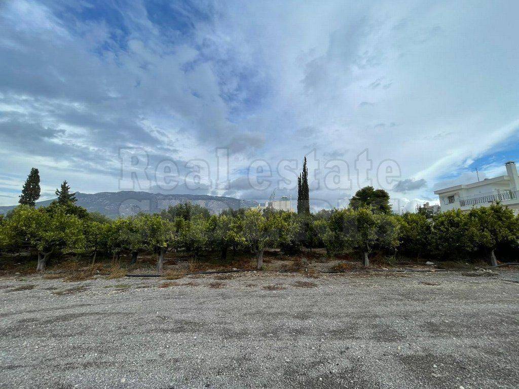 ΠΡΟΣΟΨΗ ΟΙΚΟΠΕΔΟΥ