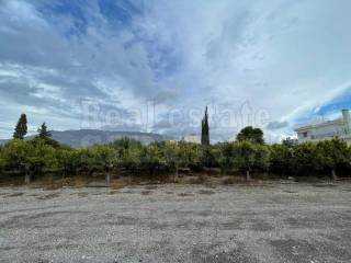 ΠΡΟΣΟΨΗ ΟΙΚΟΠΕΔΟΥ