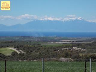 Πετράλωνα, Αγροτεμάχιο, 5.576 τ.μ.