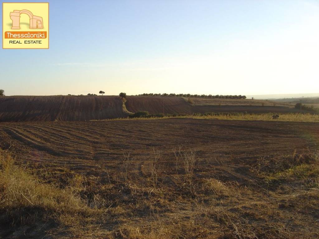 Πετράλωνα, Αγροτεμάχιο, 5.576 τ.μ.