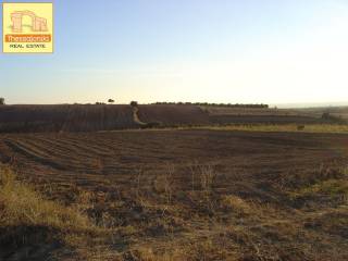 Πετράλωνα, Αγροτεμάχιο, 5.576 τ.μ.