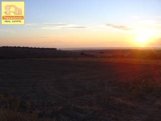 Πετράλωνα, Αγροτεμάχιο, 5.576 τ.μ.